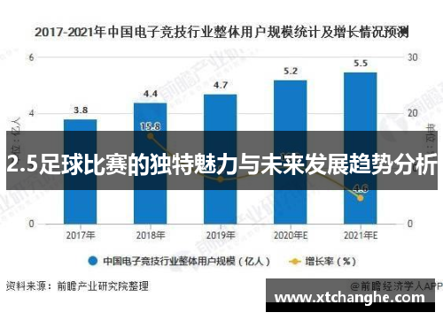 2.5足球比赛的独特魅力与未来发展趋势分析